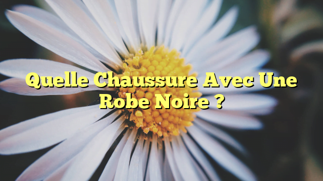Quelle Chaussure Avec Une Robe Noire ?