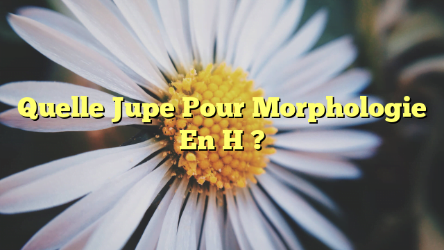 Quelle Jupe Pour Morphologie En H ?