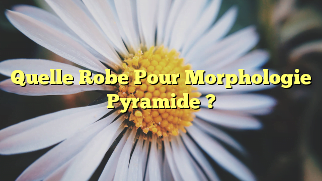 Quelle Robe Pour Morphologie Pyramide ?