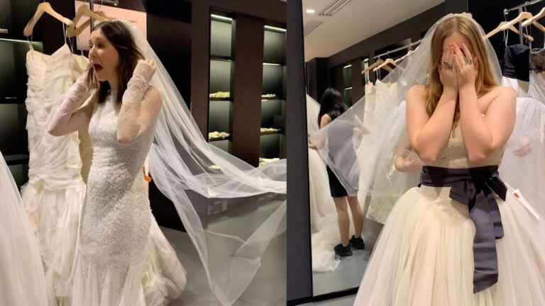 Combien Coute Une Robe De Mariée Vera Wang ? | Coccinelle-Paradis